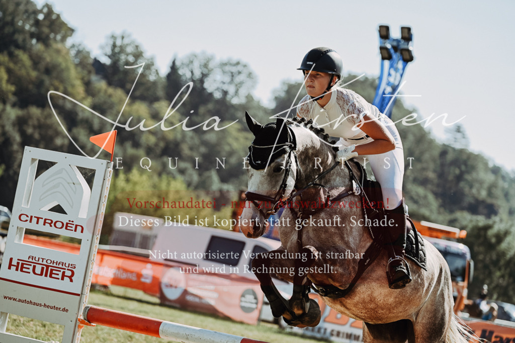 DSC_6797 | Pferde- und Turnierfotografie in Westsachsen. Pferdeportraits, Auftragszeichnungen und intuitive Kunst.