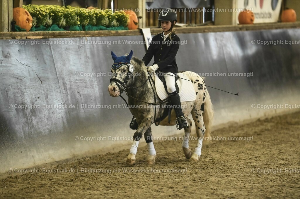 20231029_02_Reiter-WB_Schritt-Trab-Galopp_Abteilung-01_0063 | Foto: Thomas Hartig