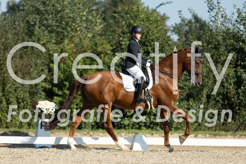 IMG_0621 | Creatify Fotografie