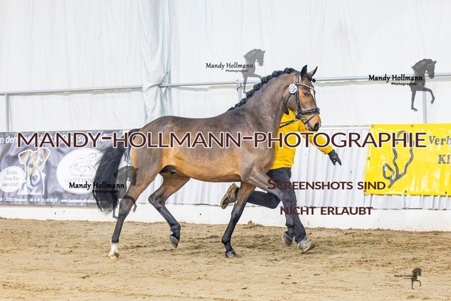 29 (36 von 45) | mandyhollmannphotographie
