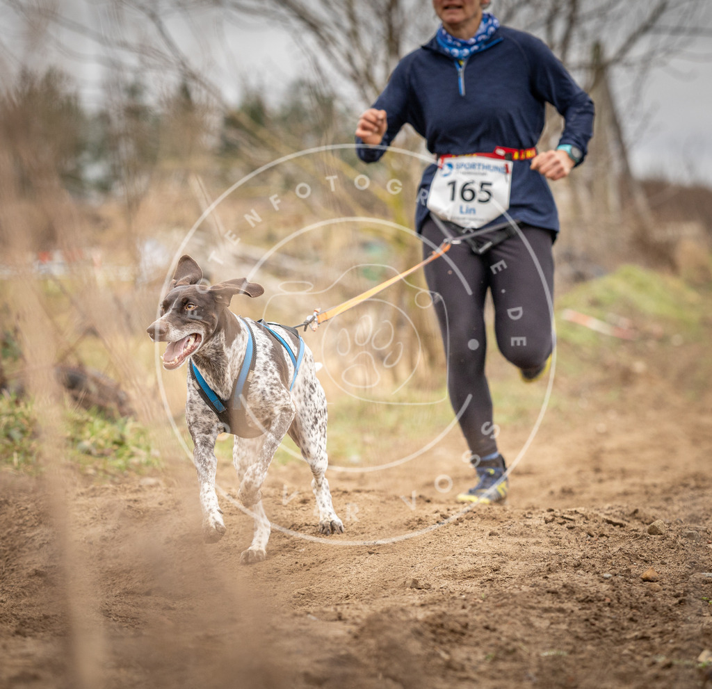 DV3A1874 | Hundefotografie, Tierfotograf, Pfotenfotografie, Fotoshooting Hund, Hunde Portrait, Hundesport, Hundeportraits, Heideshooting, Hunde, Sportfotograf, Hundefotograf, Turnierhundsport, THS,  - Realisiert mit Pictrs.com