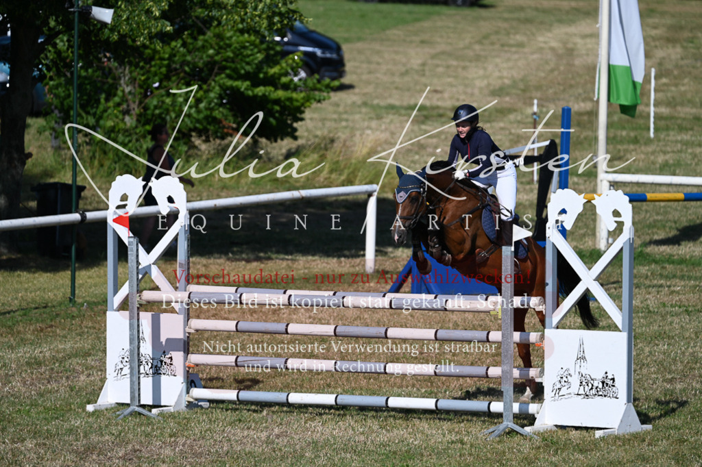DSC_2447 | Pferde- und Turnierfotografie in Westsachsen. Pferdeportraits, Auftragszeichnungen und intuitive Kunst.