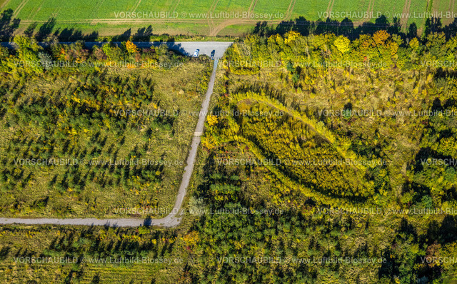 Hamm241008395 | Luftbild, Waldgebiet und Baumallee in ovale Form, ehemalige Zeche Westfalen Schacht 7, Ennigerberg, Formen und Farben, Stadtbezirk Heessen, Hamm, Ruhrgebiet, Nordrhein-Westfalen, Deutschland
