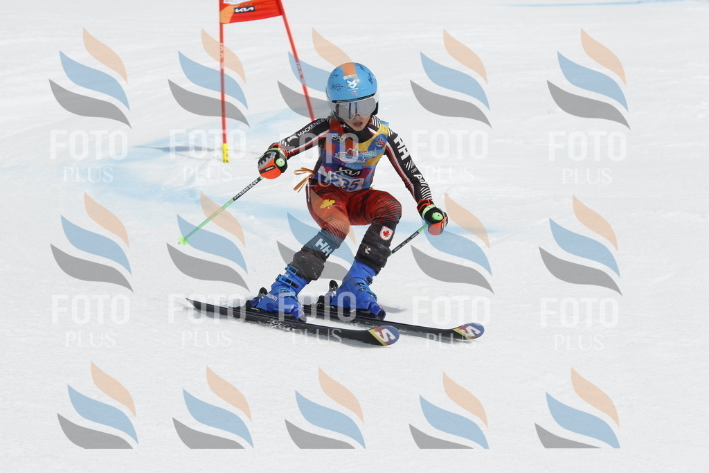 _U3G2603 | holidayphoto