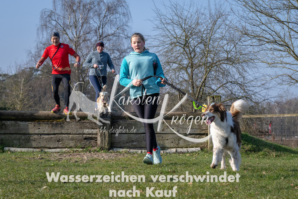 _ZZ90036 | kk-dogfotos