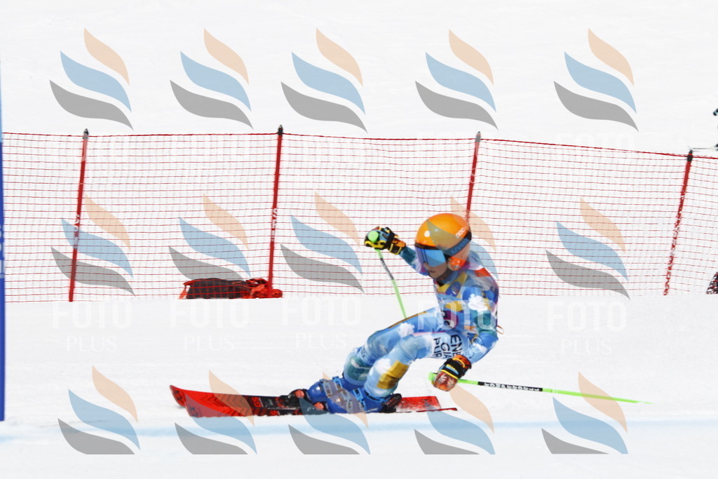 _U3G6350 | holidayphoto