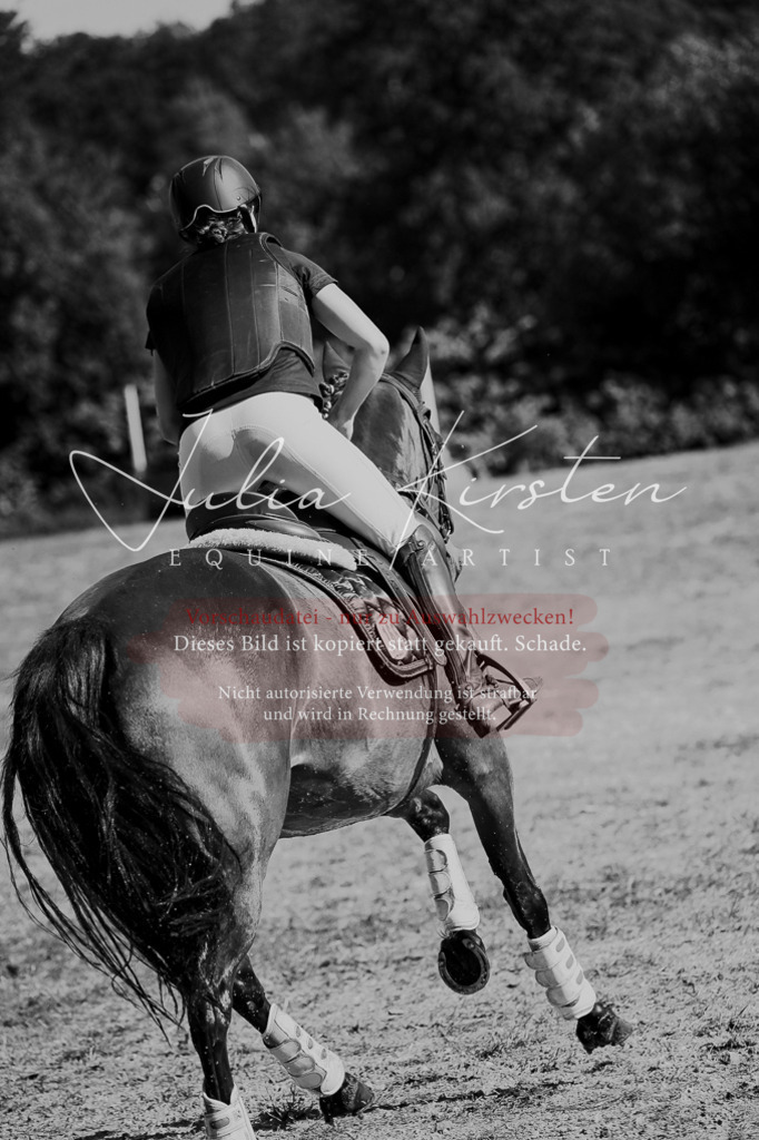 DSC_8669 | Pferde- und Turnierfotografie in Westsachsen. Pferdeportraits, Auftragszeichnungen und intuitive Kunst.