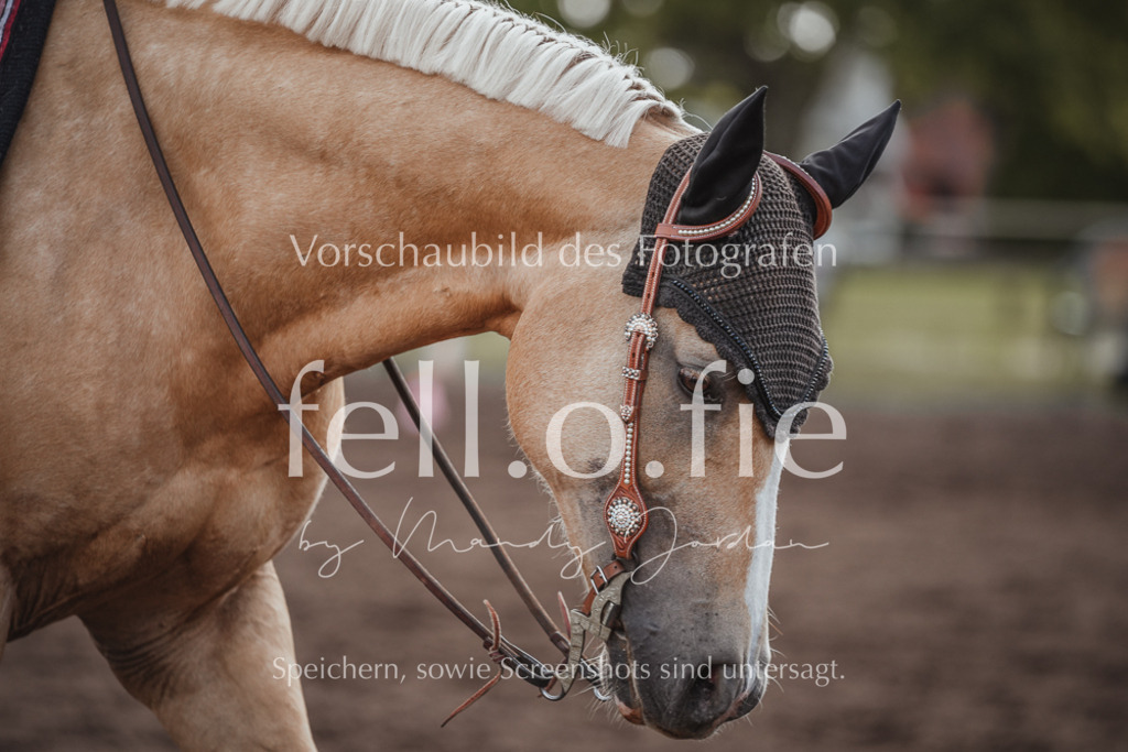 fell.o.fie_mandyjordan_2024_06_01445 | Mandy Klecke Fellfotografie, fell.o.fie Fotografenshop - Realisiert mit Pictrs.com