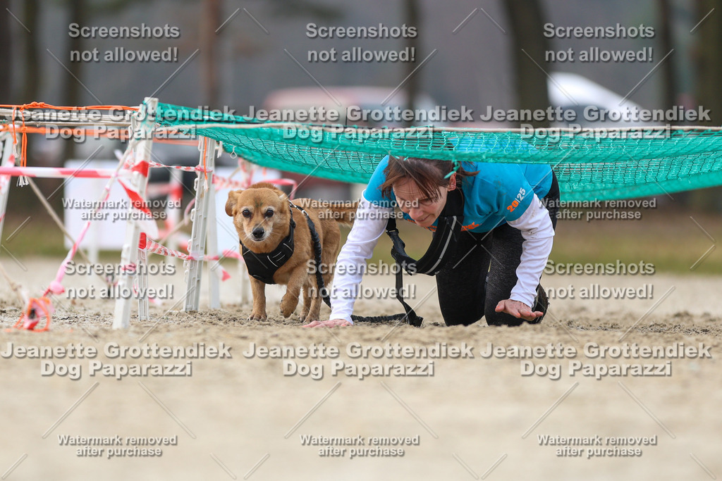 Dog Paparazzi - Strongdog North Mrz26-4574 | Dog Paparazzi Jeanette Grottendiek Fotografie & Videografie - Realisiert mit Pictrs.com