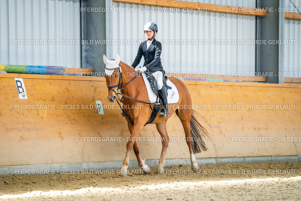 DSC02832 | Pferdegrafie