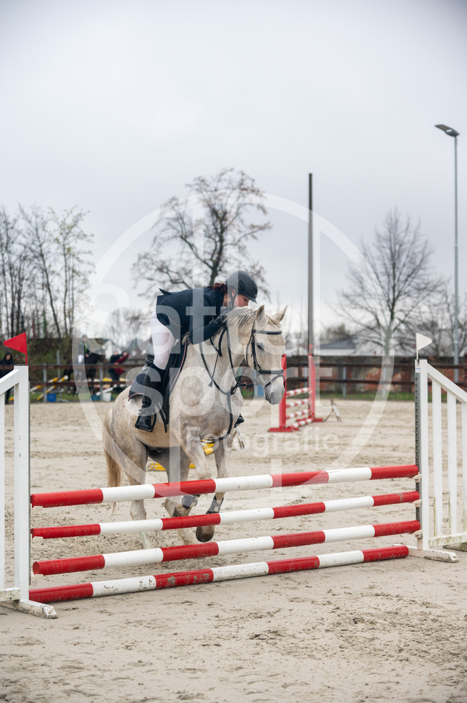 DSC_8774 | sattelsport - Realisiert mit Pictrs.com