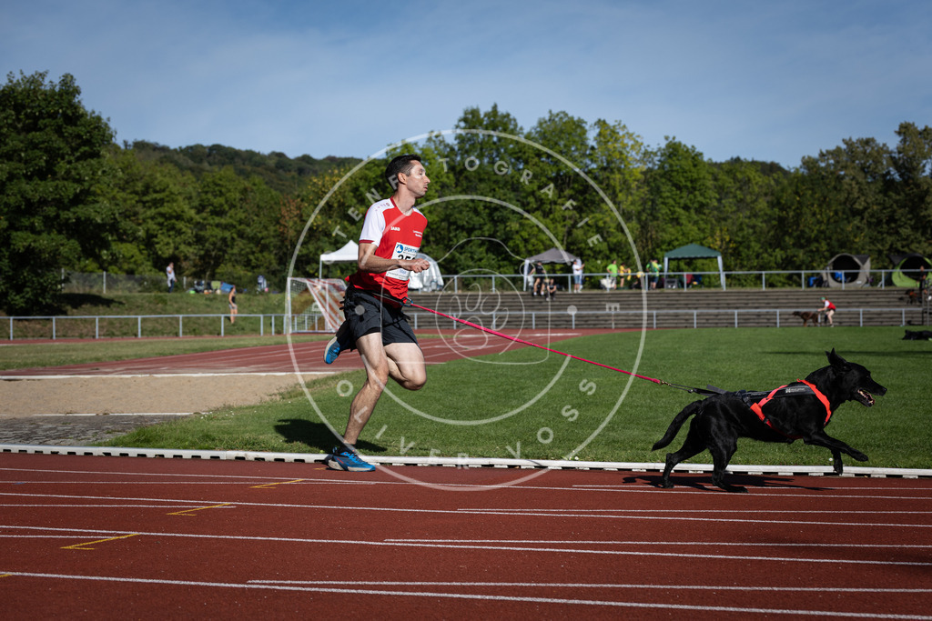 Pfotenfotografie_DV3A9224 | Hundefotografie, Tierfotograf, Pfotenfotografie, Fotoshooting Hund, Hunde Portrait, Hundesport, Hundeportraits, Heideshooting, Hunde, Sportfotograf, Hundefotograf, Turnierhundsport, THS,  - Realisiert mit Pictrs.com