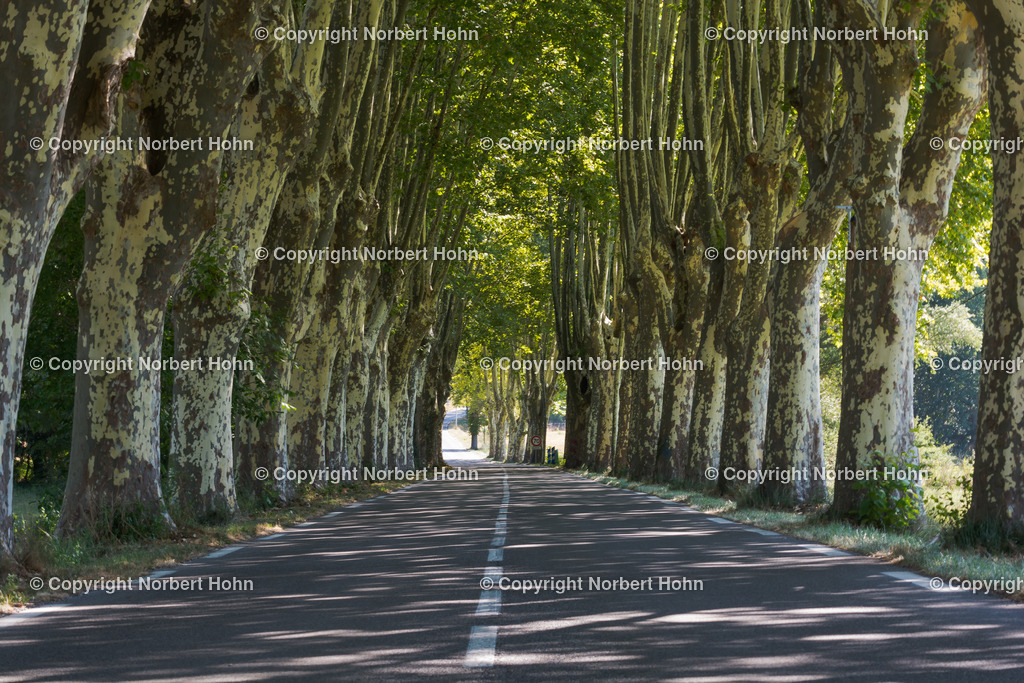 Reisefotografie - Frankreich - Provence | Alleen in der Naehe der Stadt Apt. - Realisiert mit Pictrs.com