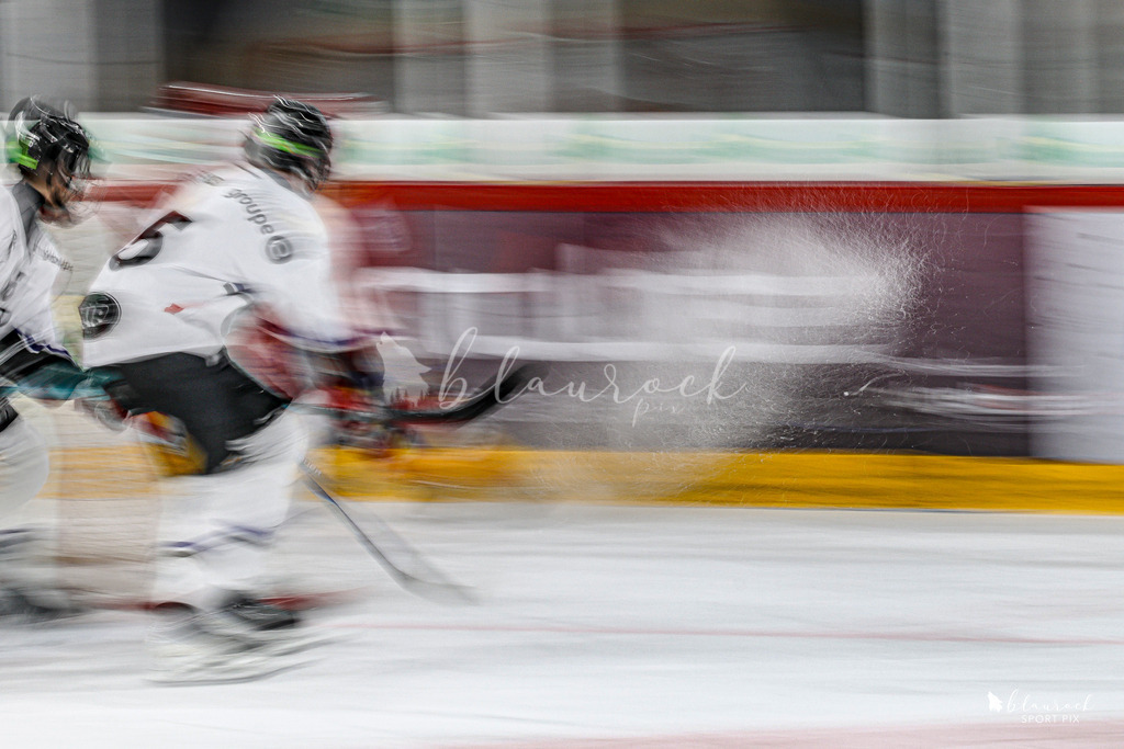 EHCB Spirit vs HCFG_wb-7546 | Sportbilder, Sportfotograf, Hochzeits- und Eventfotografin, Flugshows, Portraits und Tiershooting, Aviation, Downhill, Nationalleague, Swissleague, International