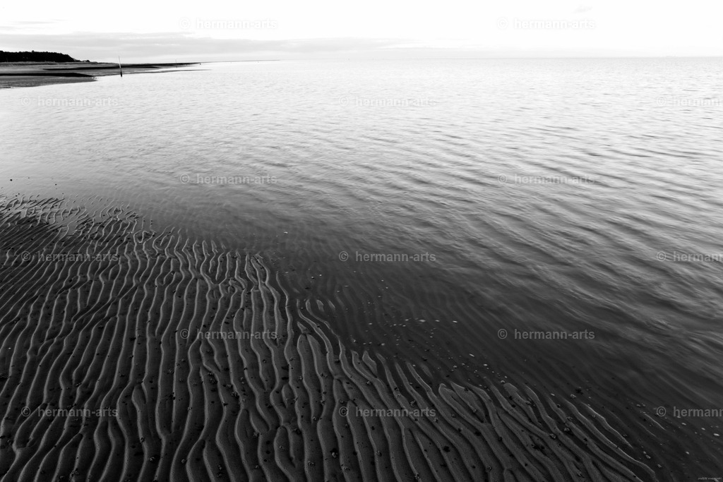 Hermann-Arts_Seaside_005 | Photo Foto Kunst Art schwarzweiss Bilder Rheine Münster Berlin Blumen 