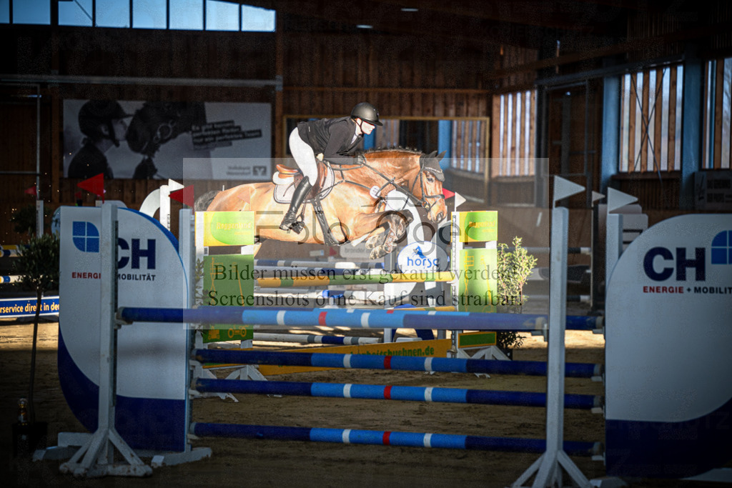 DOS_0152 | Entdecke hochwertige Reitturnierfotos von Foto Oger. Professionell, emotional und authentisch – jetzt Lieblingsmomente im Shop bestellen.Deutschlandweite Turnierfotografie. - Realisiert mit Pictrs.com