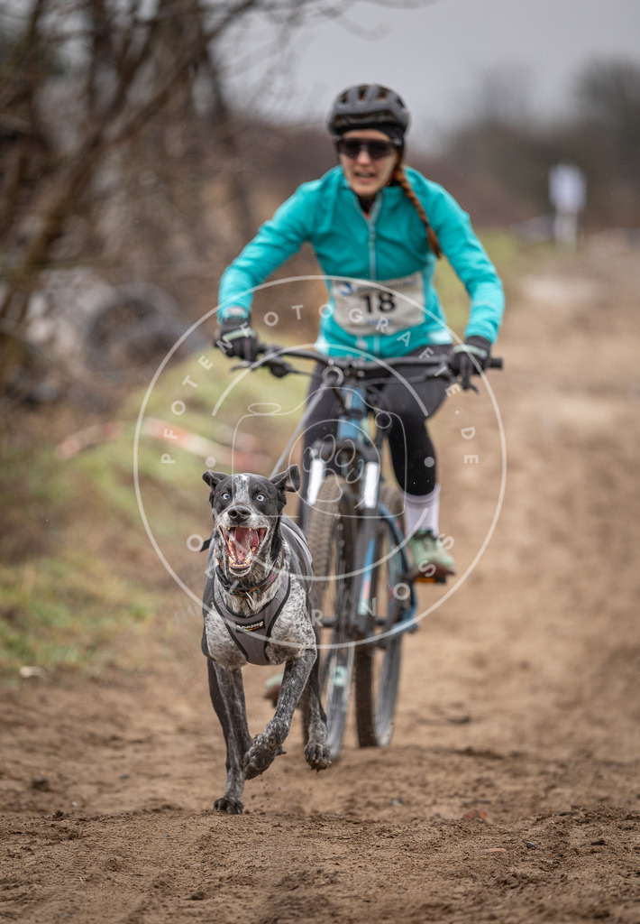 DV3A9007 | Hundefotografie, Tierfotograf, Pfotenfotografie, Fotoshooting Hund, Hunde Portrait, Hundesport, Hundeportraits, Heideshooting, Hunde, Sportfotograf, Hundefotograf, Turnierhundsport, THS,  - Realisiert mit Pictrs.com
