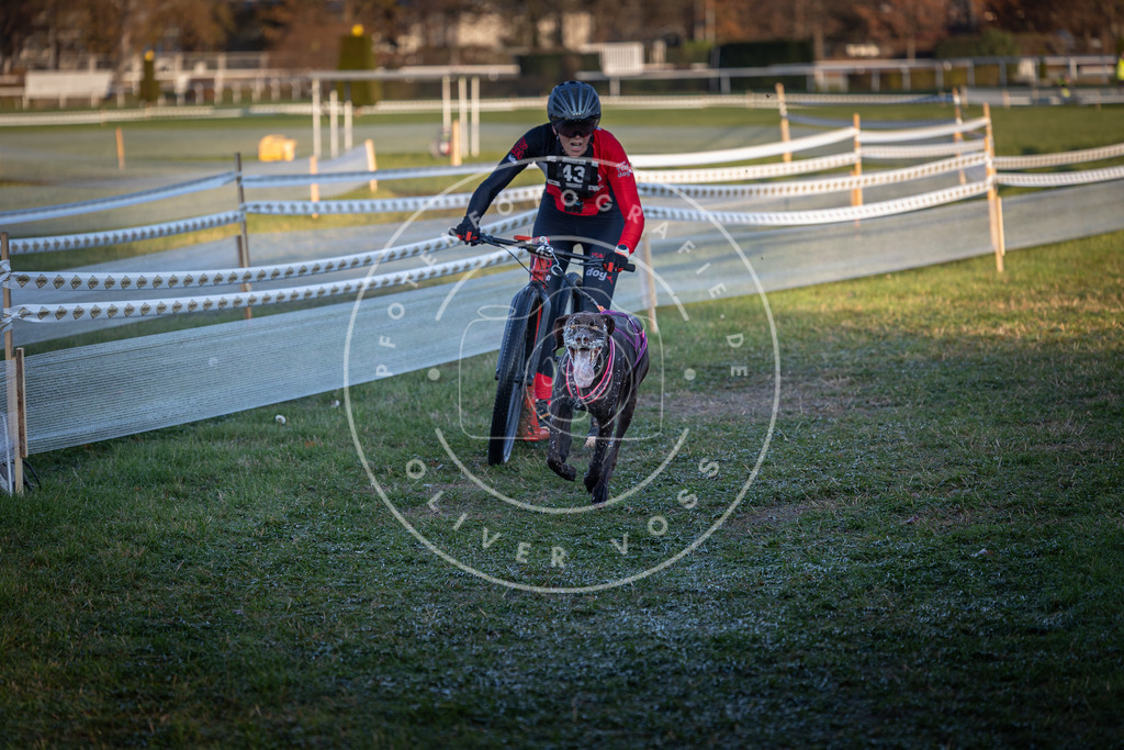CaniXpix_0L8A2374 | Hundefotografie, Tierfotograf, Pfotenfotografie, Fotoshooting Hund, Hunde Portrait, Hundesport, Hundeportraits, Heideshooting, Hunde, Sportfotograf, Hundefotograf, Turnierhundsport, THS,  - Realisiert mit Pictrs.com