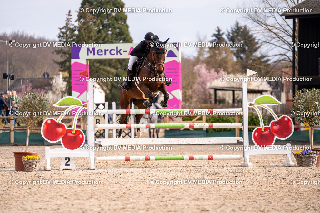 Kranichstein Tag 2-2315 | dv-media-shop - Realisiert mit Pictrs.com