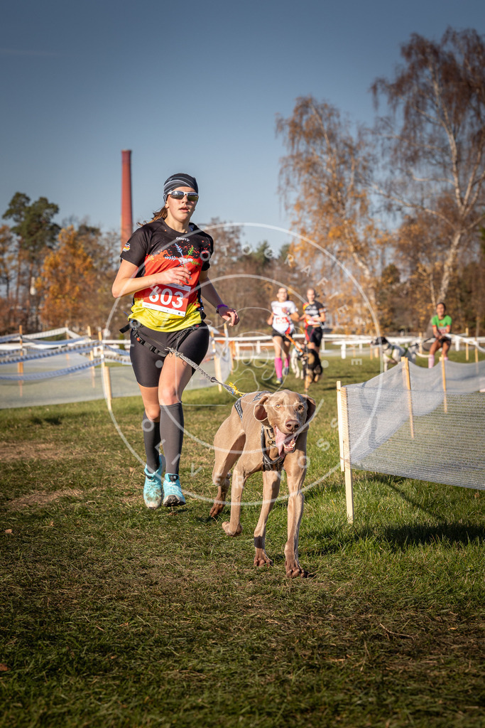 CaniXpix_0L8A8558 | Hundefotografie, Tierfotograf, Pfotenfotografie, Fotoshooting Hund, Hunde Portrait, Hundesport, Hundeportraits, Heideshooting, Hunde, Sportfotograf, Hundefotograf, Turnierhundsport, THS,  - Realisiert mit Pictrs.com