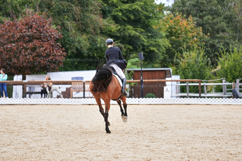 11-189-Dressur S___-Marixx-1785 | working equitationturnier fotograf videograf stoibphotography marixx film working equitation deutschland reitsport turnierfotografie eventfotografie equestrian events