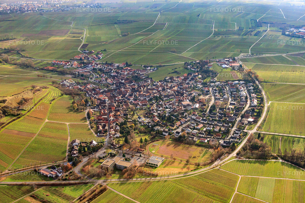 Luftbild: Winzerdorf zwischen kahlen Weinbergen aus Norden in Ilbesheim bei Landau im Bundesland Rheinland-Pfalz in Deutschland. Foto: IMG_61290.jpg vom 30.11.2013 durch Werner Riehm/FLY-FOTO.de