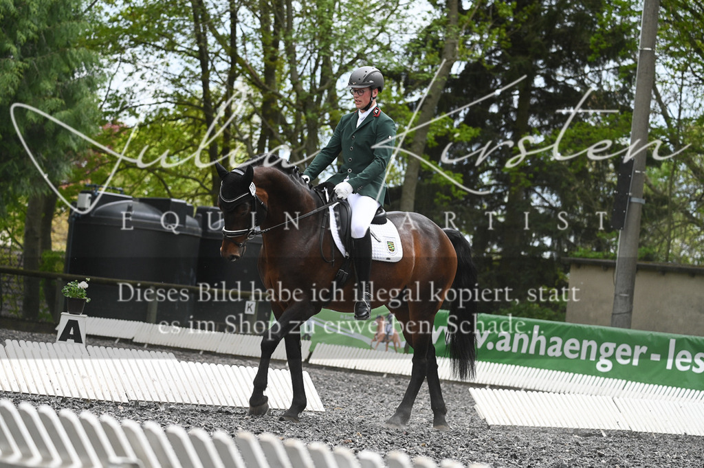 20230512_JK-Röhrsdorf-08-097 | Pferde- und Turnierfotografie in Westsachsen. Pferdeportraits, Auftragszeichnungen und intuitive Kunst.
