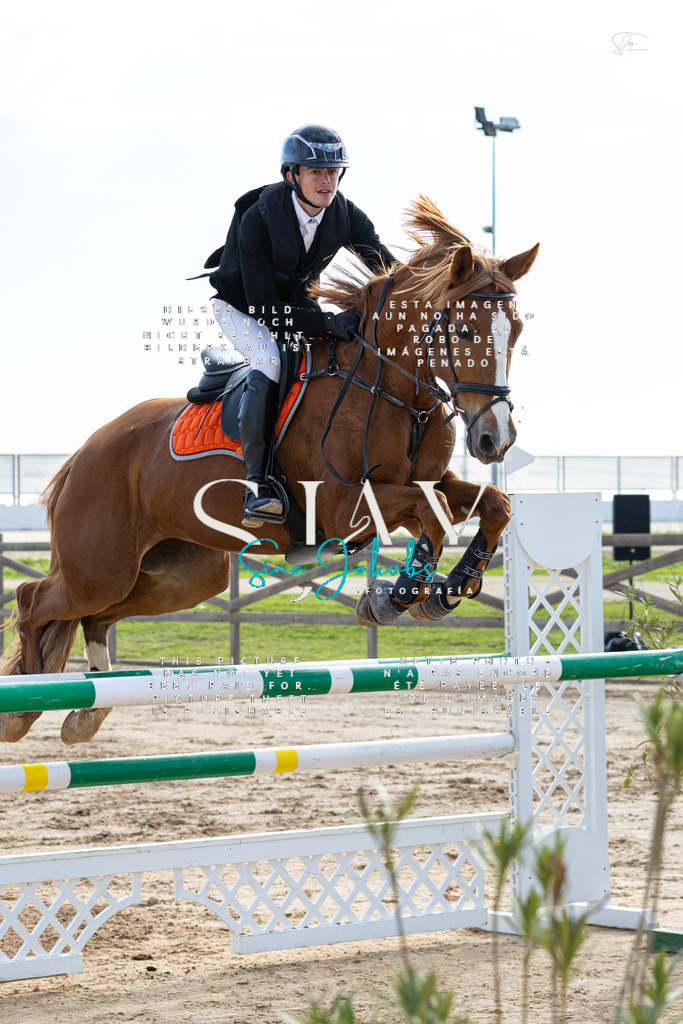 IMG_2101 | s-jay-photography - Realisiert mit Pictrs.com