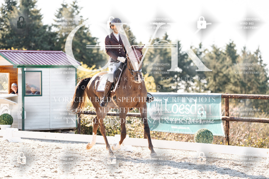 CK906546 | Turnierfotografie Pferdefotografie Trier Rheinland-Pfalz Pferdesport Reitsport Tierfotografie Sportfotografie Pferdevideo Pferdevideografie Equestrianvideography equestrianphotography  - Realisiert mit Pictrs.com