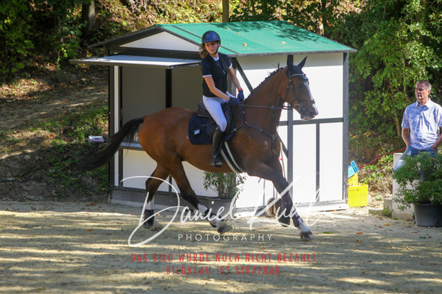 DKP43265 | Turniersportfotografie; Pferdefotografie; Dressurfotografie