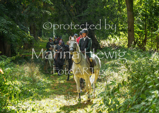 Jagd Perdoel_MarinaHewigMCH05064 | Fotografie, FotoArt, PferdesportArt, Pferdesportfotografie, Landschaftsfotografie, Reisefotografie, Reise, Pferde - Realisiert mit Pictrs.com