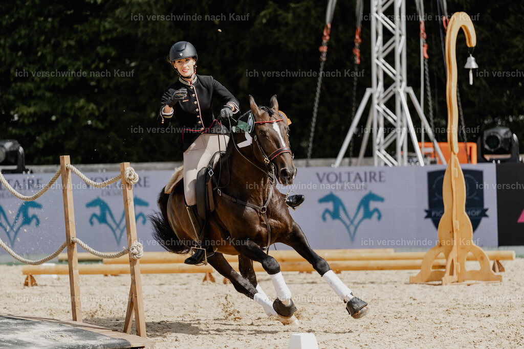Virginie12FHC2025-3215 | working equitationturnier fotograf videograf stoibphotography marixx film working equitation deutschland reitsport turnierfotografie eventfotografie equestrian events