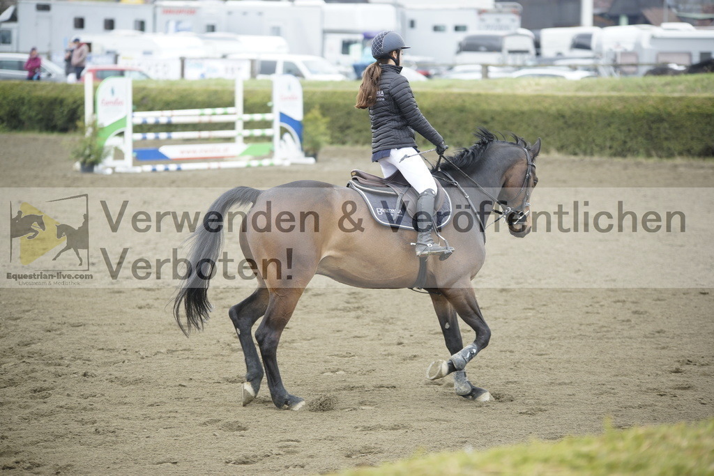 _DSC6937 | equestrian-live-com