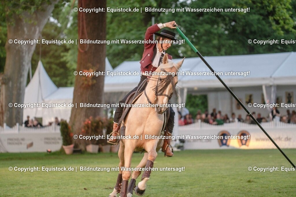 20230526_Pferdenacht_0722 | equistock