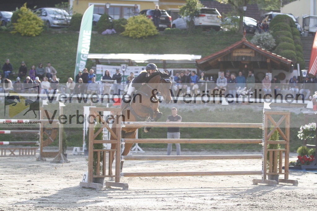 _MG_1461 | equestrian-live-com