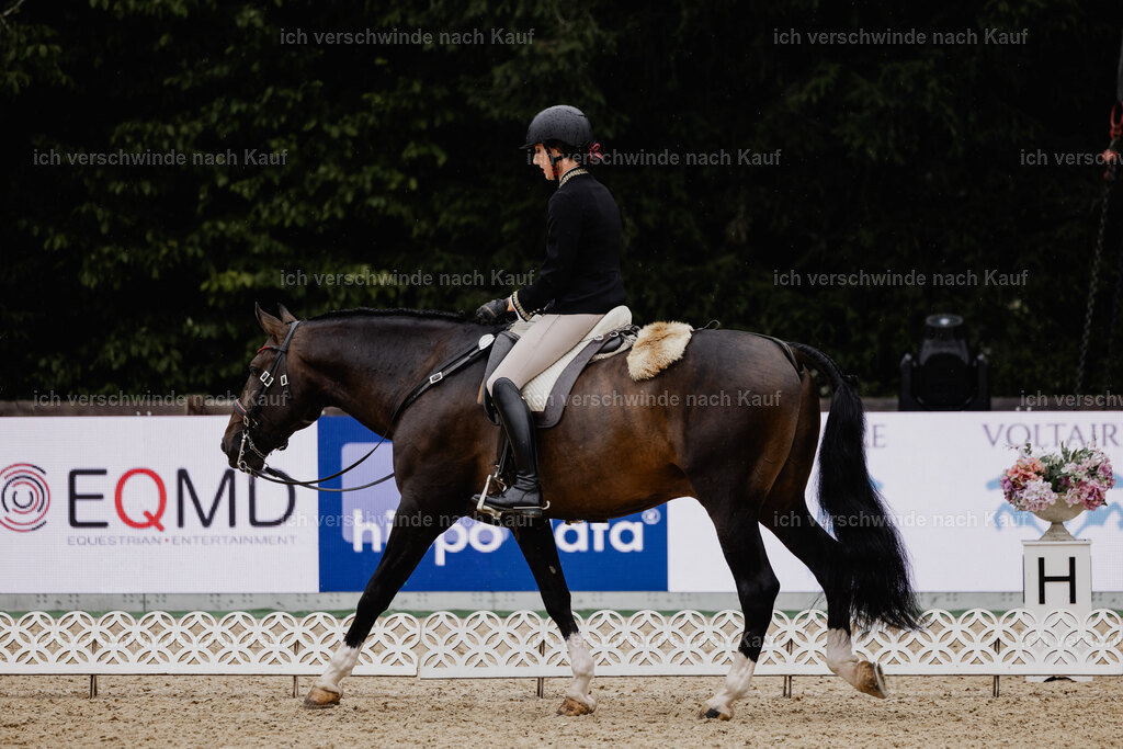 Virginie12FHC2025-24593 | working equitationturnier fotograf videograf stoibphotography marixx film working equitation deutschland reitsport turnierfotografie eventfotografie equestrian events