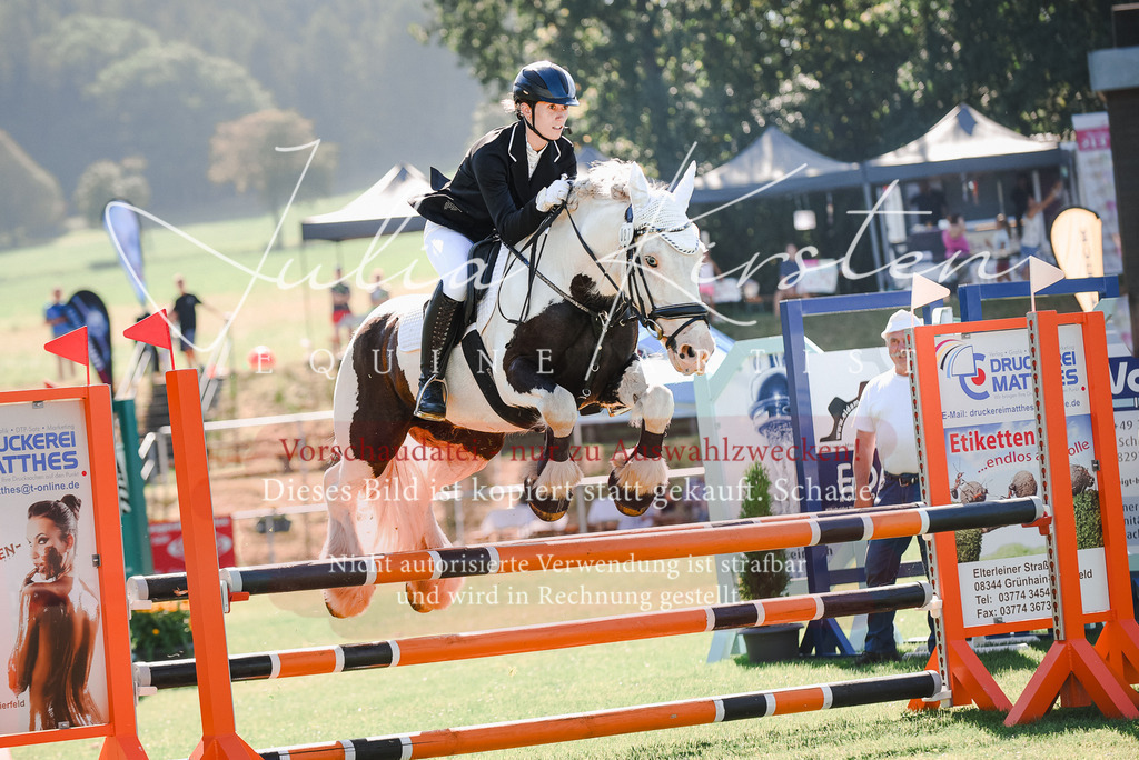 DSC_2588 | Pferde- und Turnierfotografie in Westsachsen. Pferdeportraits, Auftragszeichnungen und intuitive Kunst.