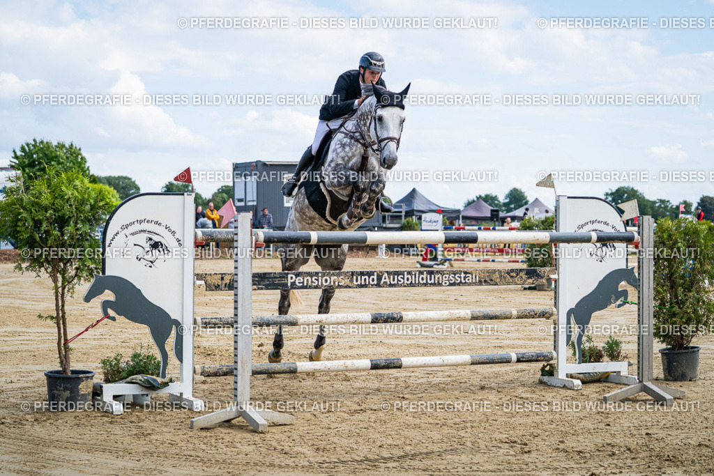 DSC06693 | Pferdegrafie