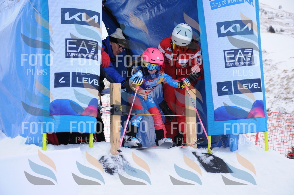 DSC_8318 | holidayphoto