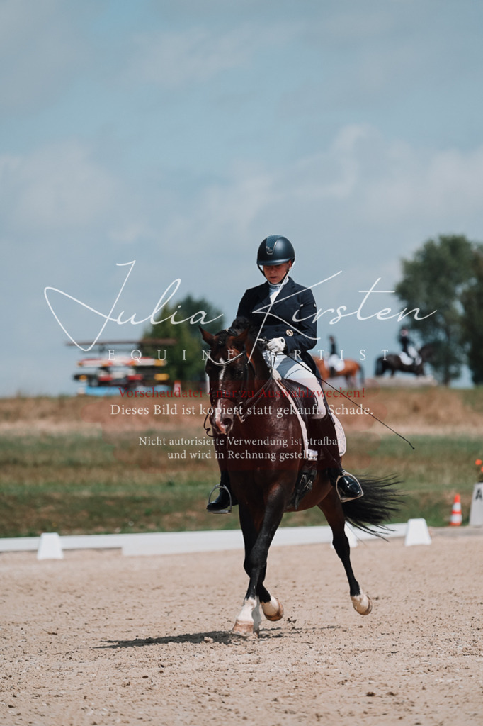 DSC_3924 | Pferde- und Turnierfotografie in Westsachsen. Pferdeportraits, Auftragszeichnungen und intuitive Kunst.