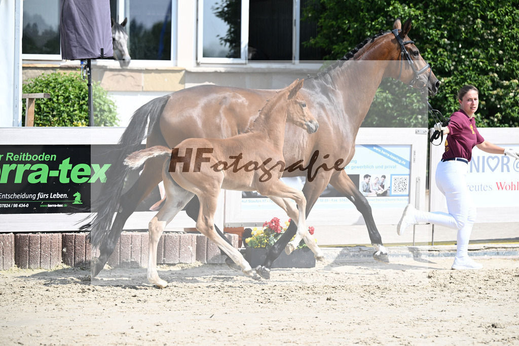 Veneno x Hotline _SF_Wiedemann_12250320 | hf-fotografie - Realisiert mit Pictrs.com