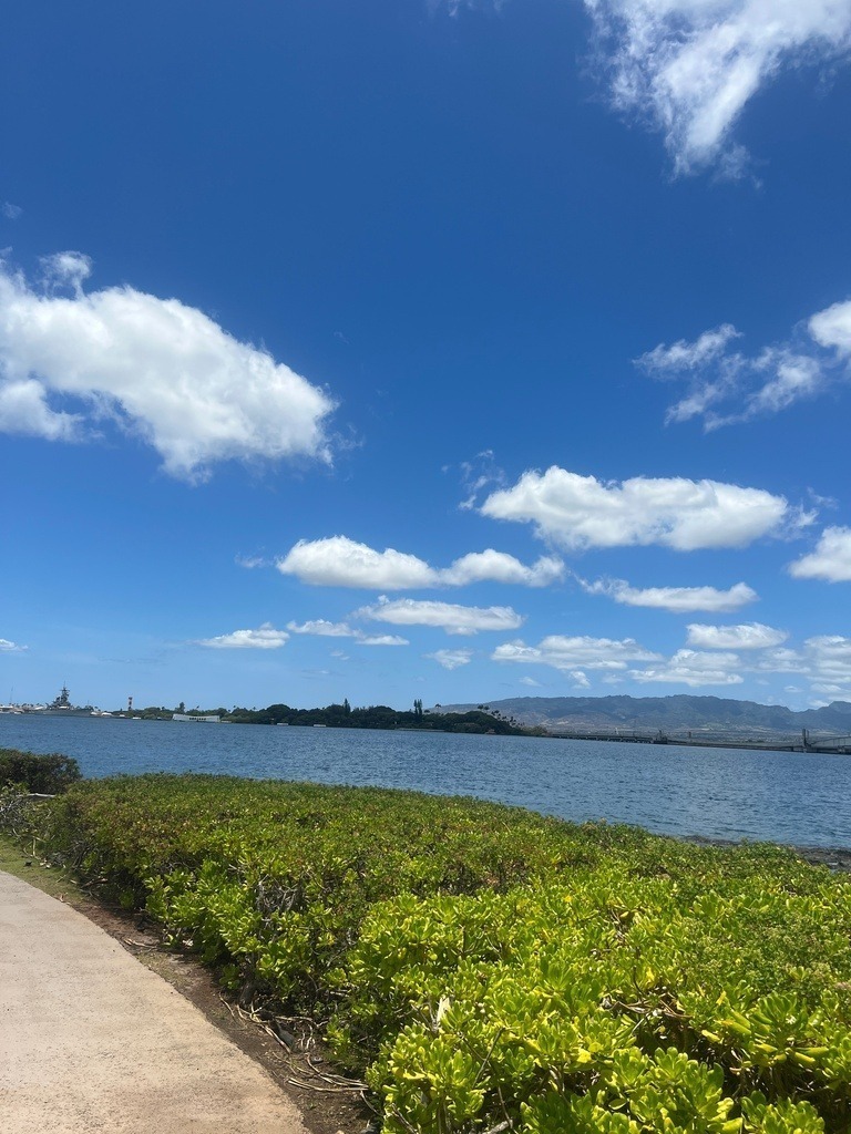 IMG_7883 | ace - Realisiert mit Pictrs.com