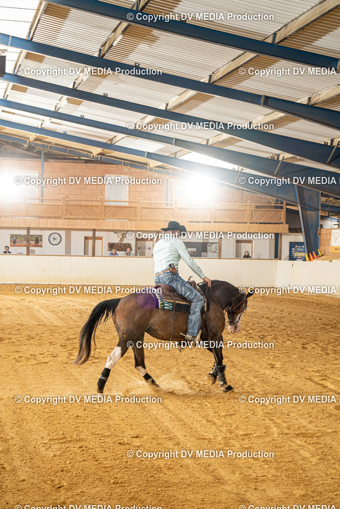 MIT00393 | dv-media-shop - Realisiert mit Pictrs.com