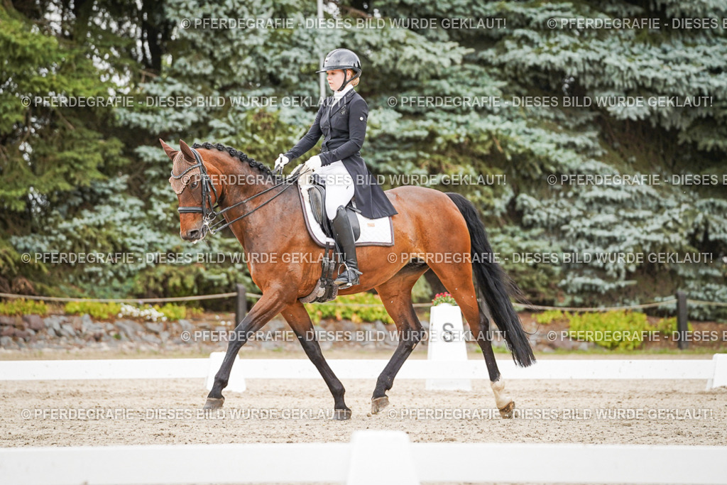 DSC05463 | Pferdegrafie