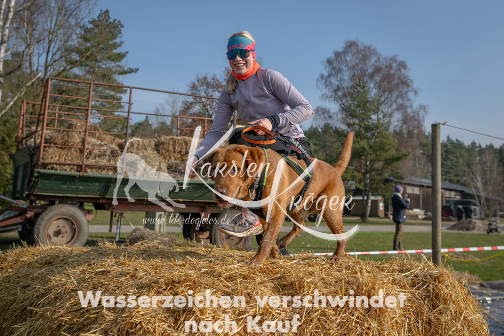 _ZZ94488 | kk-dogfotos