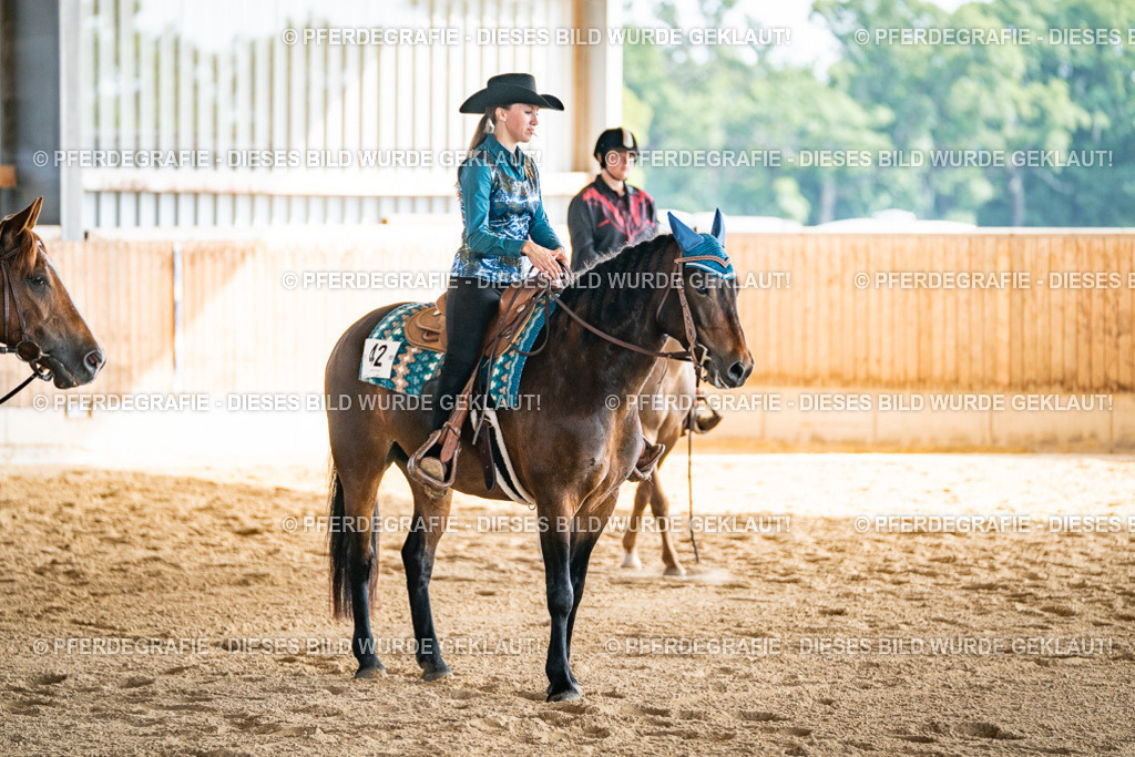 DSC08658 | Pferdegrafie