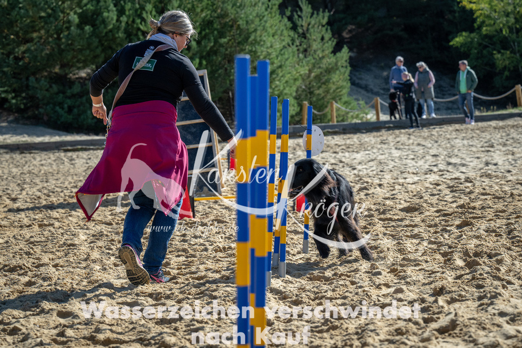 1149_ZZ92115-2 | kk-dogfotos