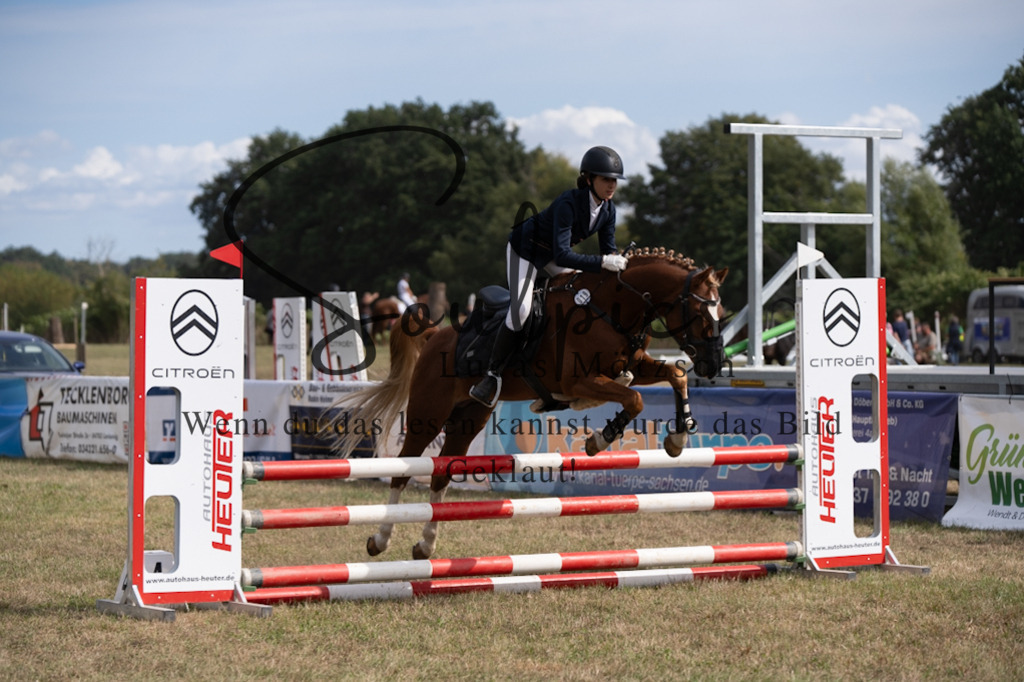 A7V08766 | Pferdefotograf