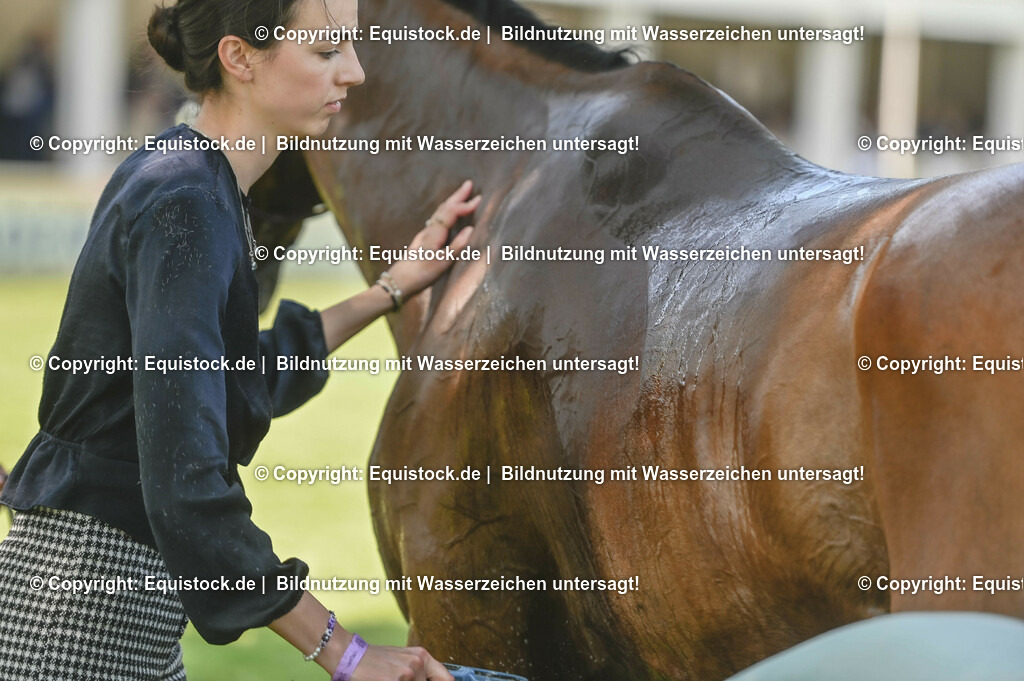 20230527_27_CCI4_Gelände_0289 | equistock