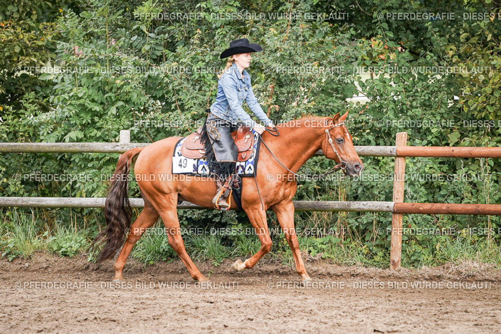 DSC08693 | Pferdegrafie